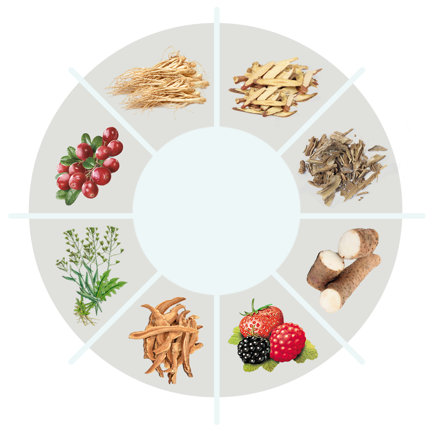NeuroMind Pro ingredients